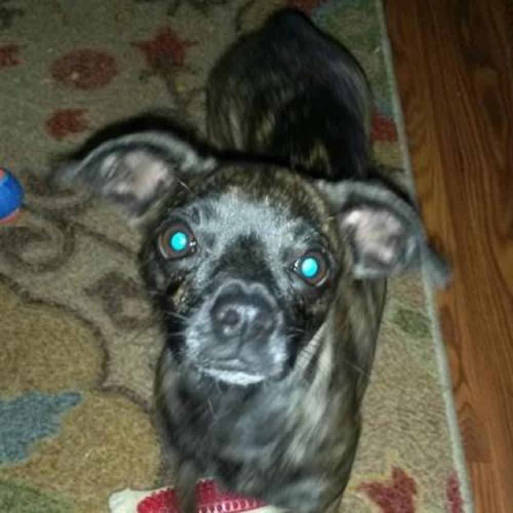 Meet your Posher, Brenda